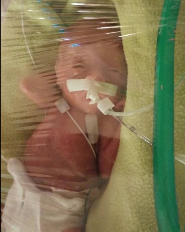 Baby Wrennyn Screen shot 2016-06-21 at 12.36.08 PM