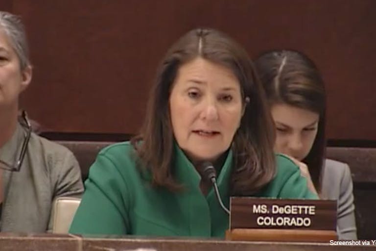 diana-degette-house-panel