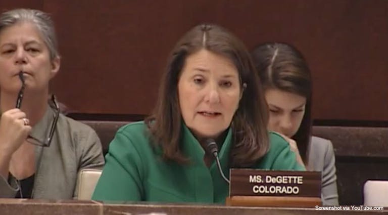 diana-degette-house-panel