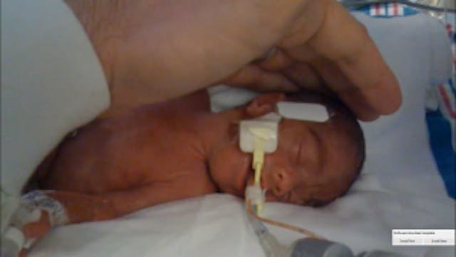 Baby Sebastian via YouTube video. Baby Sebastian via YouTube video.