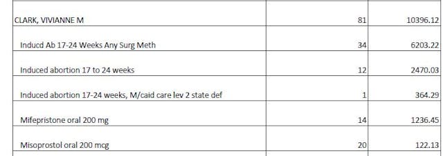Vivianne M. Clark medicaid abortions report provided by ProtestABQ