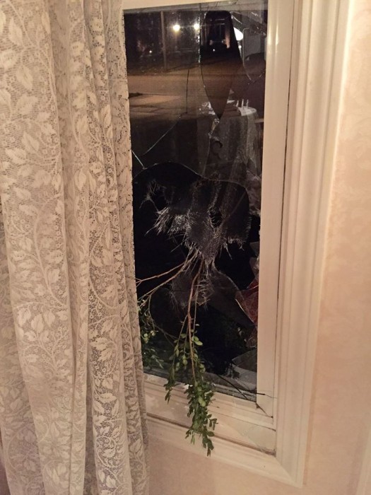 Jill Stanek, pro-choice, vandalism