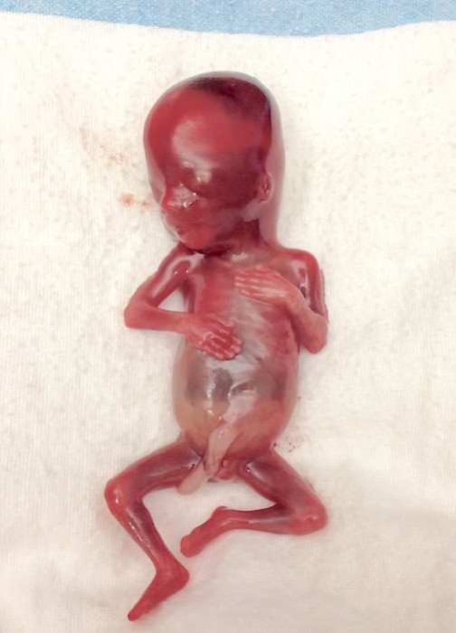 NoahSmith_505_701_55