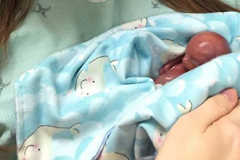 IMG_0006_645_860_55-525×700