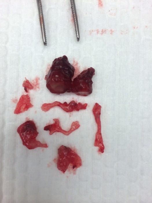 66dde0d2-4aca-44fe-837f-8c333f611a9c