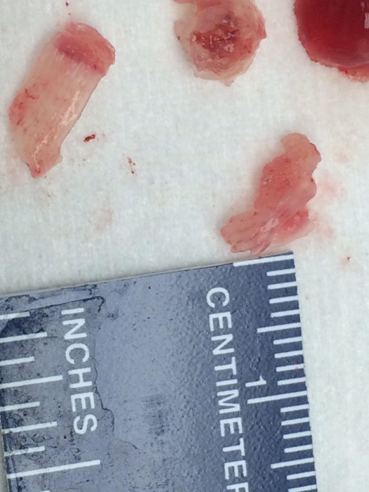 375321f0-80ea-4b6a-83a4-2dbcf5726f75