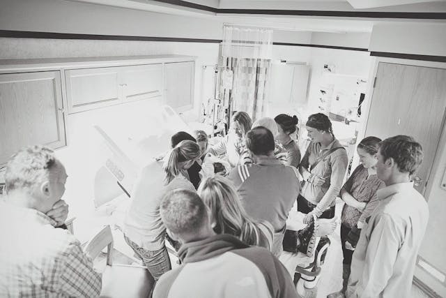 Michelle Nagle Photography 12339431_10201420193664584_622740613543668951_o