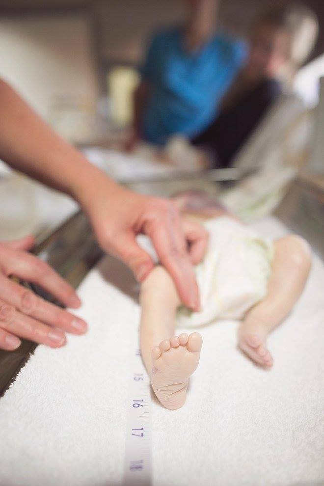 12322743_10201420187464429_7030521305065279075_o