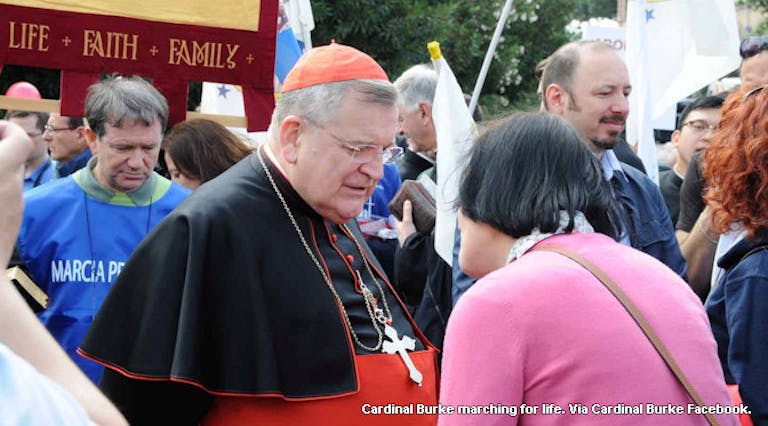 cardinal-burke