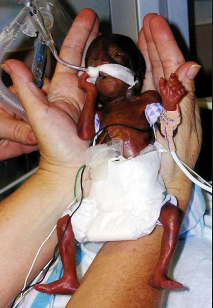 Screen Shot 2016-02-10 at 4.47.47 PM