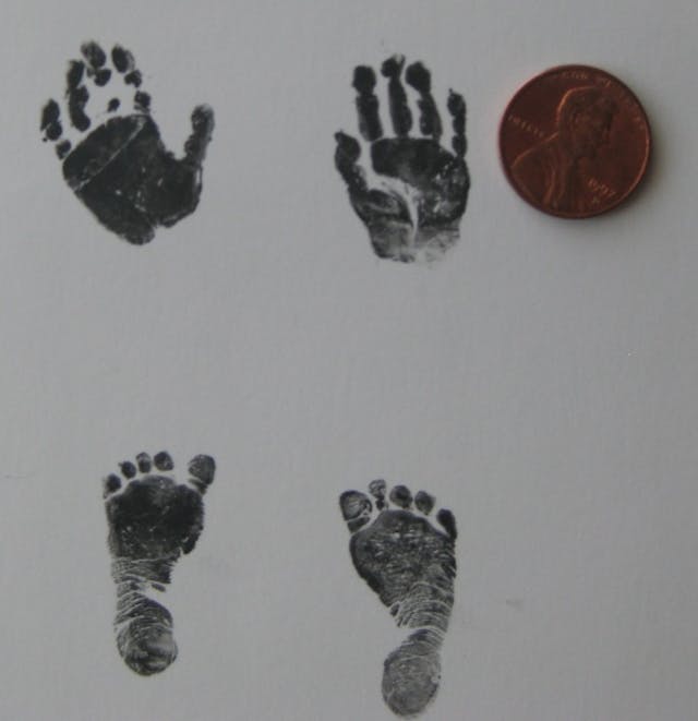Baby Halle’s foot and handprints. Baby Halle's foot and handprints.