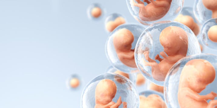 Human cloning, embryos