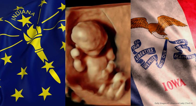 Indiana Iowa flags 11w ultrasound Indiana and Iowa governors sign bills requiring prenatal development education in schools featured image
