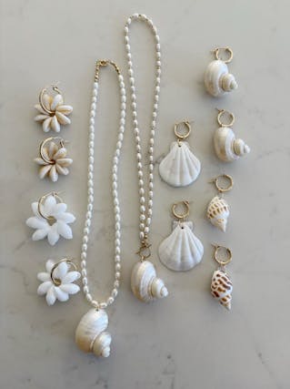 Shells made into earrings