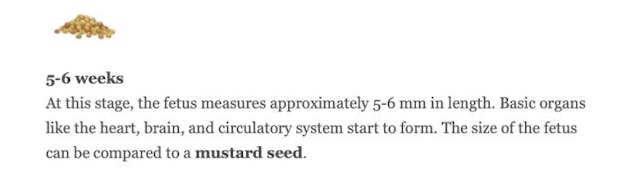 Screenshot via hi mommy.app I survived an abortion at Planned Parenthood. Twice. image