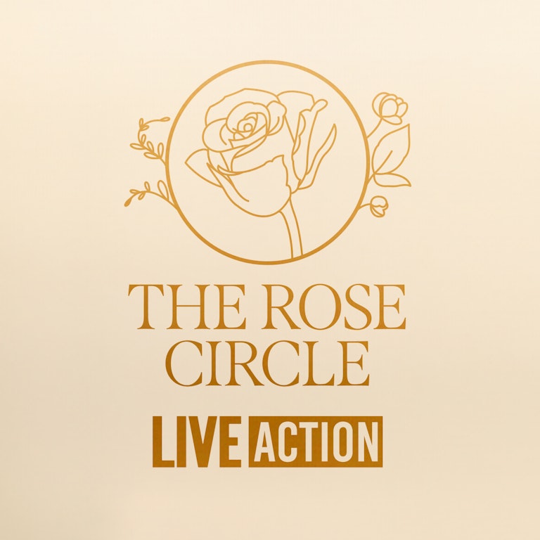 A hand drawn rose on gold background