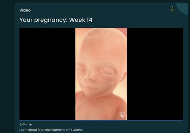 BabyCenter video screenshot, week 14 NowThis calls ‘Baby Olivia’ video ‘creepy’ but promotes LGBTQIA+ books for kids image