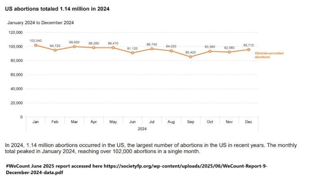 #WeCount June 2025 reports 1.14M abortions in 2024