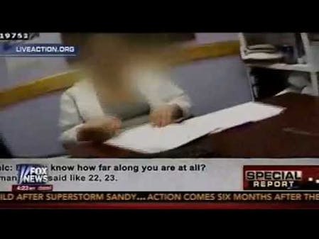 Live Action investigation on Special Report with Bret Baier thumbnail