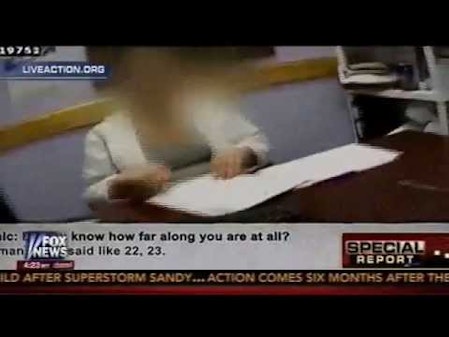 Live Action investigation on Special Report with Bret Baier thumbnail