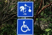 mobility impaired people mobility impaired people