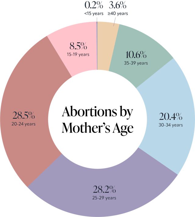 Pie Chart of Abortions by Mother's Age