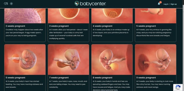 Hit piece against ‘Baby Olivia’ warns viewers not to be ‘seduced by the facts’ image
