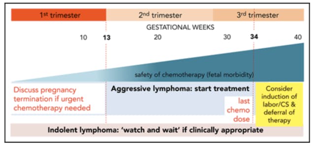 Doctors pressured pregnant mom with cancer to abort, despite what research reveals image