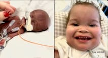 preemie baby Kingston