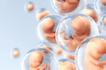 Photo: Getty Images Artwork depicting human embryos floating in bubble sacs in front of a blue background.