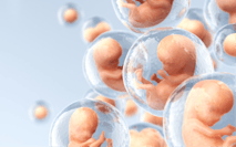 Human cloning, embryos