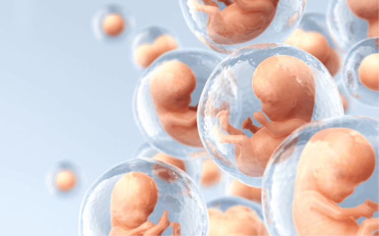 Artwork depicting human embryos floating in bubble sacs in front of a blue background.