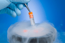 frozen embryo, embryos, embryo, cryopreservation