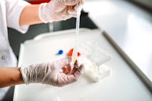 Lab technician doctor working with sperm samples using pipette in laboratory