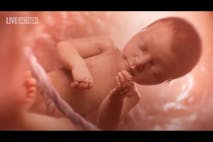 Image shows a preborn child in the womb.