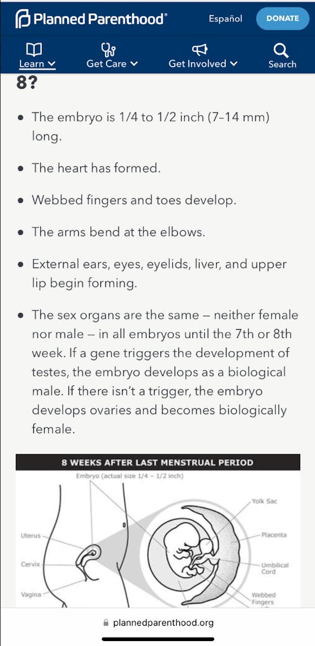 Planned Parenthood screenshot, prenatal development Planned Parenthood screenshot