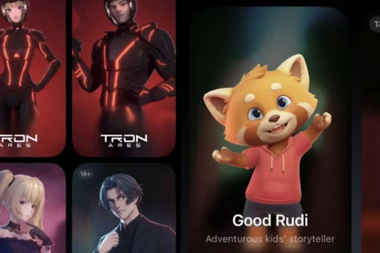 Screenshot: Grok xAI Grok's 'companion' chatbot, "Good Rudi"