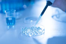 Photo: Vithun Khamsong/Getty Images Scientist pipetting sample into tray for DNA testing in laboratory,Close up fertility laboratory the scientist preparing embryo cultivation plates