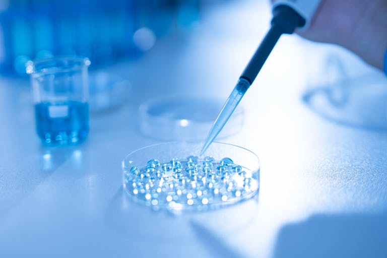 Photo: Vithun Khamsong/Getty Images Scientist pipetting sample into tray for DNA testing in laboratory,Close up fertility laboratory the scientist preparing embryo cultivation plates