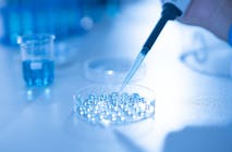 Scientist pipetting sample into tray for DNA testing in laboratory,Close up fertility laboratory the scientist preparing embryo cultivation plates