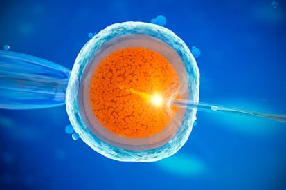 In vitro fertilization, illustration - stock illustration