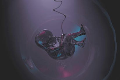 Stylized illustration of a human embryo. The theme is life before birth.