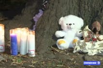 Photo: Eyewitness News ABC. candles and teddy bear are left under a tree.
