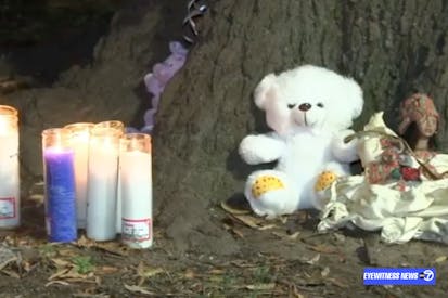 candles and teddy bear are left under a tree.