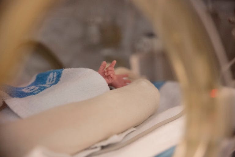 Premature newborn hand - stock photo