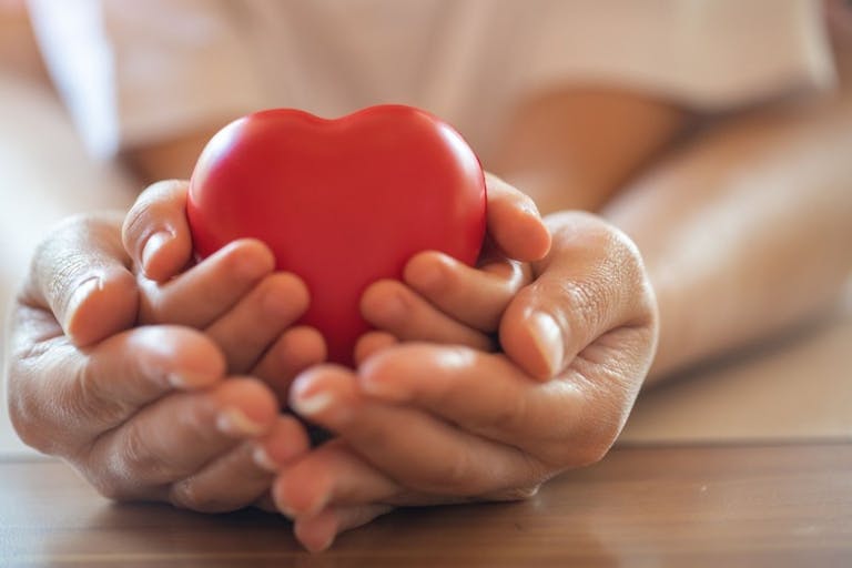 Photo: Getty Images Adult and child hands holding red heart, health care, donate and family insurance concept,world heart day, world health day, - stock photo adult and child hands holding red heart, health care, donate and family insurance concept,world heart day, world health day