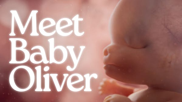 digital rendering of a fetus, caption: Meet Baby Oliver
