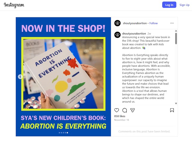 Shout Your Abortion children's book Abortion is Everything