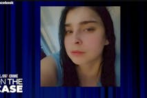 Screenshot of Erica Bader: Law&Crime (YouTube) screenshot of pregnant murder victim Erica Bader