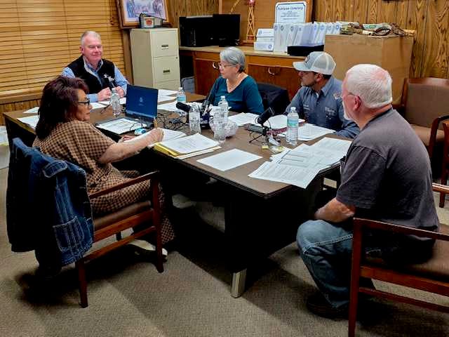 Amherst City Council